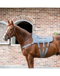 Equilibrium Massage Pad