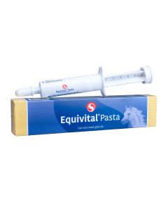 equivital pasta
