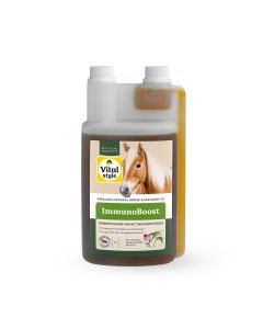 Vitalstyle Immunoboost