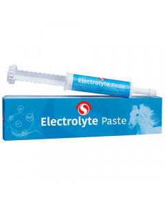 Sectolin Electrolytes Pasta