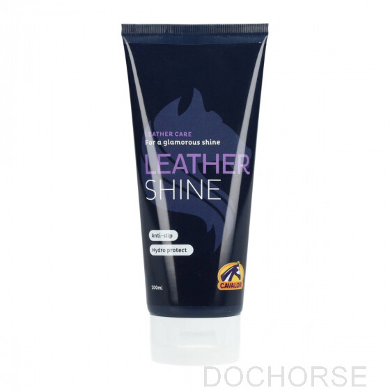 Leather shine hot sale products
