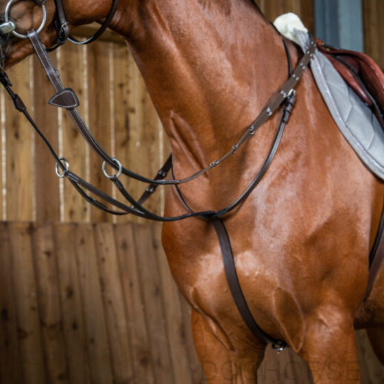 Dy'on Martingaal ''Working'' DocHorse