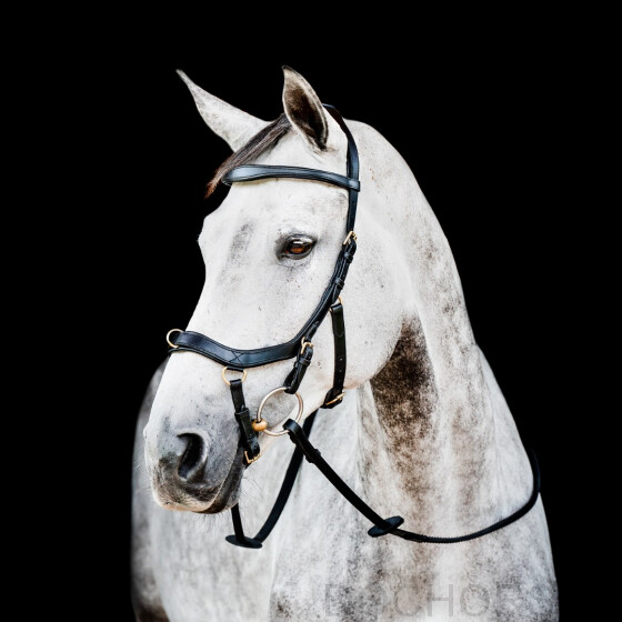 Micklem multibridle shop