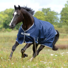 Bucas Freedom Hazelnut