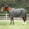 Dominick Regendeken 600D Silky