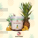 Candy Horse Jungle Hooves Pineapple & Sage