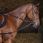 Riding World Side Reins Pirelli