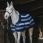 Equithème Fleece Rug Confortech