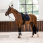 LeMieux Zadeldek Dressuur Crystal