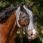QHP Fly Mask Super bug Grey