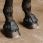 Norton Overreach Boots Rubber NoTurn With Velcro