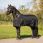 QHP Winter Regendeken turnout Big neck 300gr