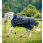 Rambo 1680D Wug Turnout 0g Navy/Hunter Green