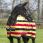 Rambo fleecedeken Deluxe Newmarket