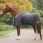 Back on Track staldeken Millie 100 gram