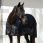 Back on Track Royal Mesh Rug Deluxe