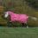 Bucas Freedom Turnout met halsdeel