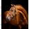Horseware Signature Leer Halster Bruin