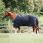 Dominick Outdoor Rug 2023 0GR