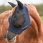 dominick fly mask comfort fit