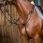 Dy'on Martingaal ''Working''