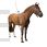 Equine legcooler baseplus