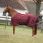 Equithème Turnout Rug 1200D Tyrex 150 G