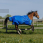 Equithème Regendeken 1200D Tyrex Aisance 0 G