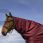 Equitheme Tyrex 1200D Neck Cover 0gr Burgundy