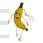 Excellent Horse Foodie Friends Banana