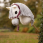 LeMieux Hobby Horse Vogue halster en touw