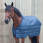 Horseware Liner XL 100 G