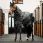 Horseware Stable Rug Plus Easy-Layer 400g (Heavy)