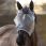 LeMieux Armour Fly Mask Standard