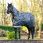 Lemieux Turnout Rug Arika Reflective 0G