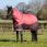 Lemieux Arika 600D Turnout 100G Alpine