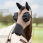 Lemieux Bug Relief Fly Mask + Nose Walnut