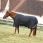 Kentucky Turnout Rug All Weather Waterproof Comfort