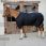 Kentucky Turnout Rug All Weather Waterproof Comfort 0GR