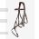 Lemieux Grackle Bridle-brown-Full