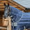 Lemieux Arika Hood Stable 100 gr-XL
