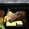 LeMieux Pluche Paardenspeeltje Leeuw