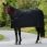 Bucas Panel Prize Cooler Black