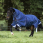 Rambo Optimo Plus Bundle Turnout
