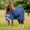 Rhino Lite
