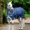 Rhino Pony Plus Lite