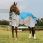 Weatherbeeta Rug Dual Shield ComFiTec-125 | 175 cm