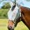 Weatherbeeta Fly Mask ComFiTec Hexi Shield Dual-grey-Cob