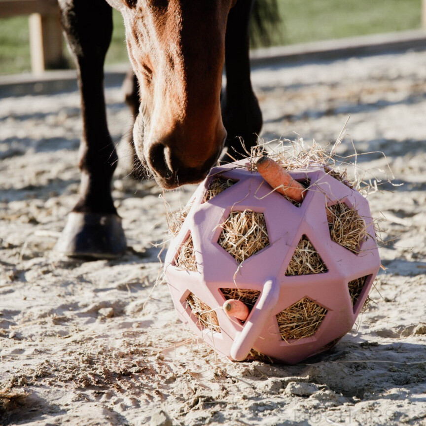 Kentucky Relax Paard Speel & Hooi Bal Roze Paddock