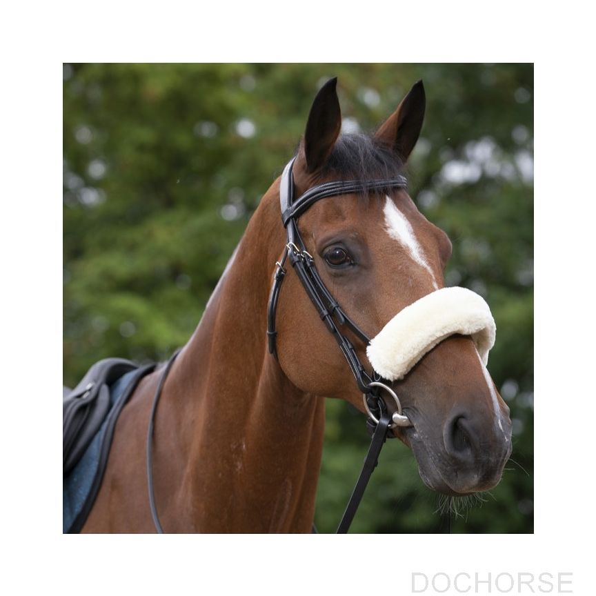 Equitheme Noseband Cover Teddy